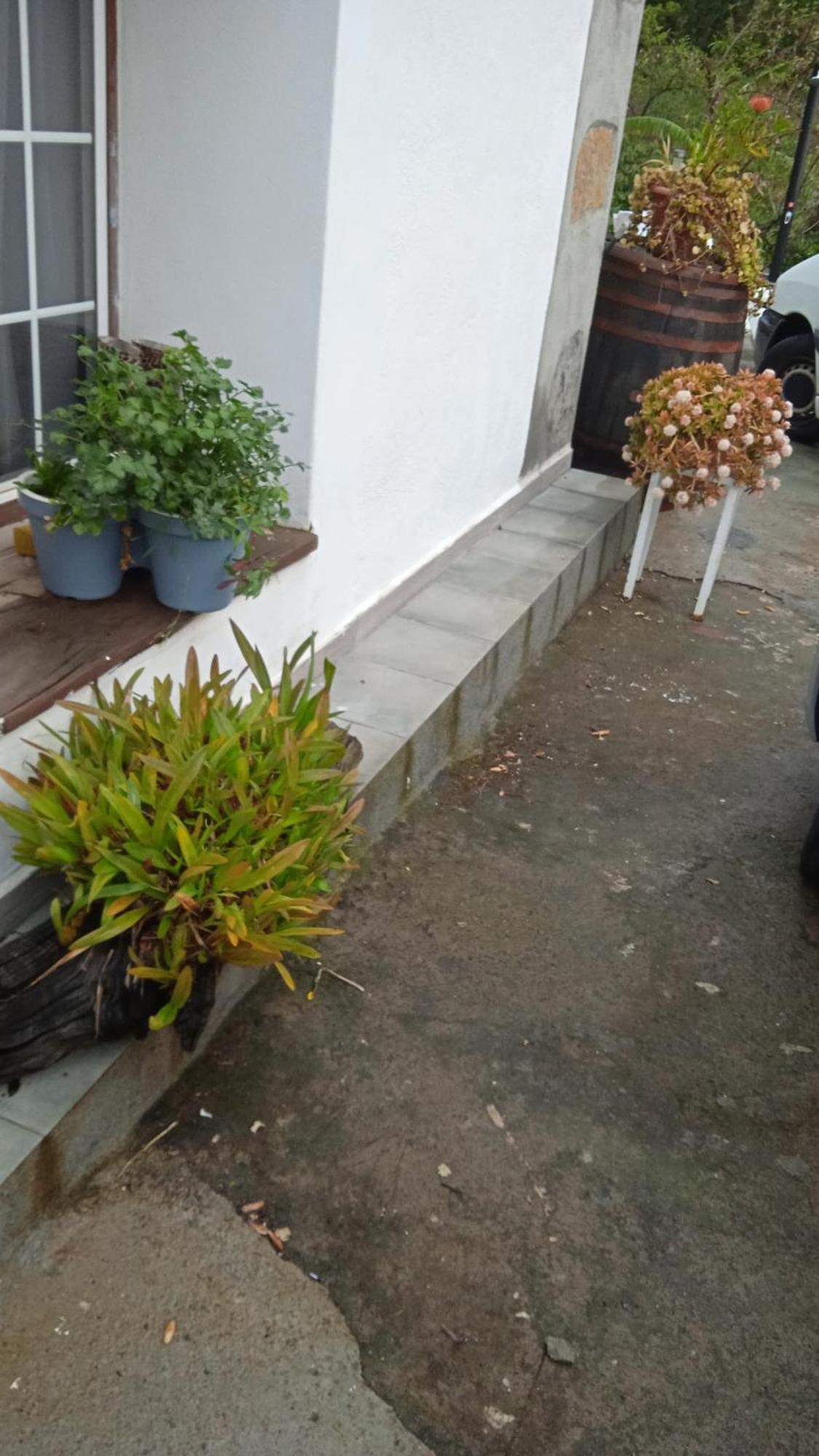 Casa Nieves De Mario Vila Santa Cruz de la Palma  Exterior foto